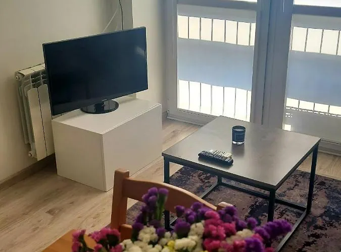Apartament Centrum Grzybowska *