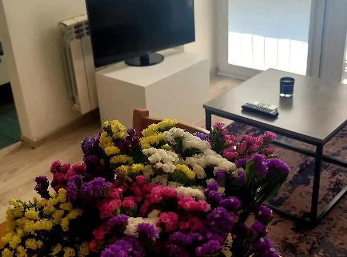 Apartament Centrum Grzybowska *